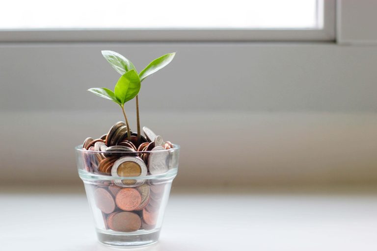 Scaling Your Online Business: Strategies for Growth and Success